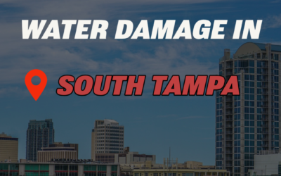 Water Damage in South Tampa