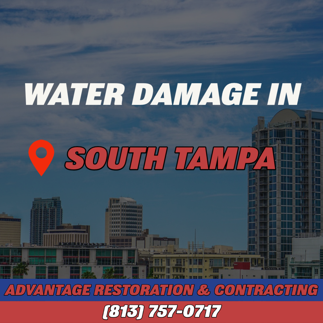 WATER DAMAGE IN SOUTH TAMPA