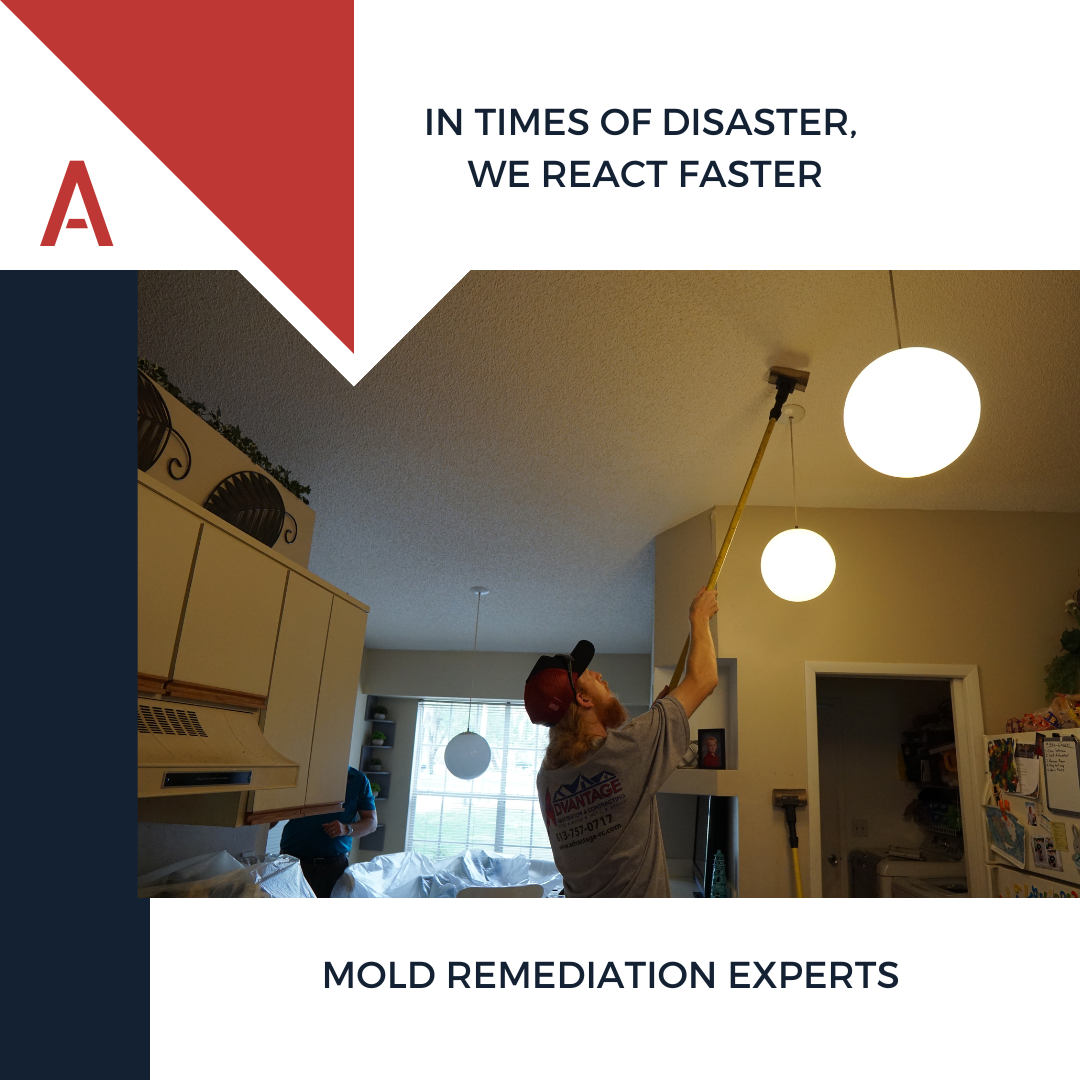 mold remediation